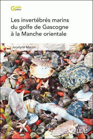 Guide sur les invertébrés marins du golfe de Gascogne à la Manche orientale - J.Martin